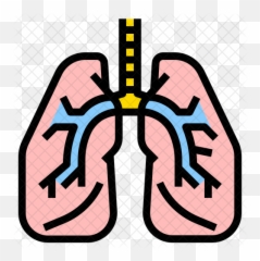 Lung Icon - Clip Art Png,Lung Png