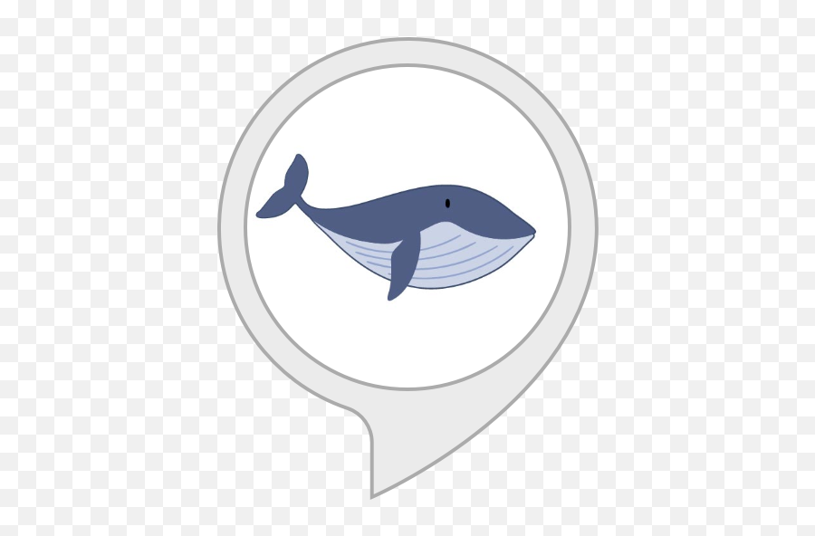 Amazoncom Interesting Blue Whale Facts Alexa Skills - Cartoon Blue Whale For Kids Png,Blue Whale Png