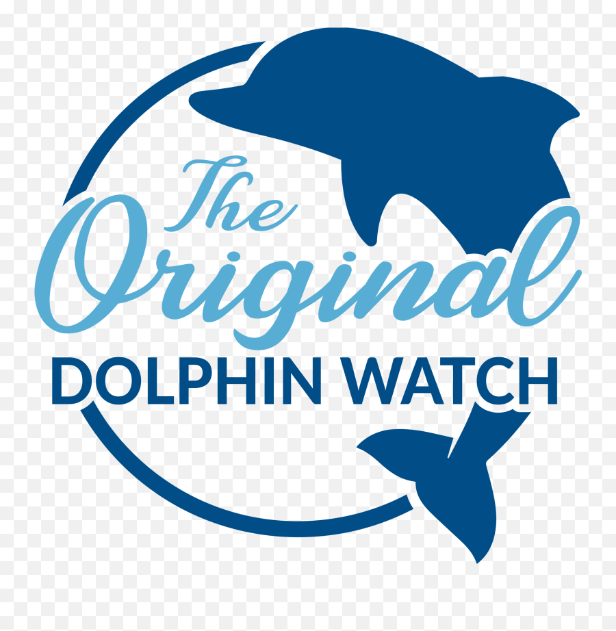 Dolphin Watch South Padre Island - The Original Dolphin Watch Clip Art Png,Dolphin Transparent Background