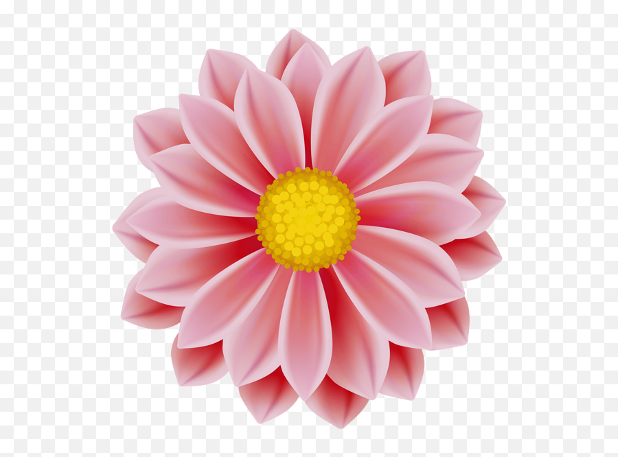 Flowers Flower Png Clip Art Gallery Clipart