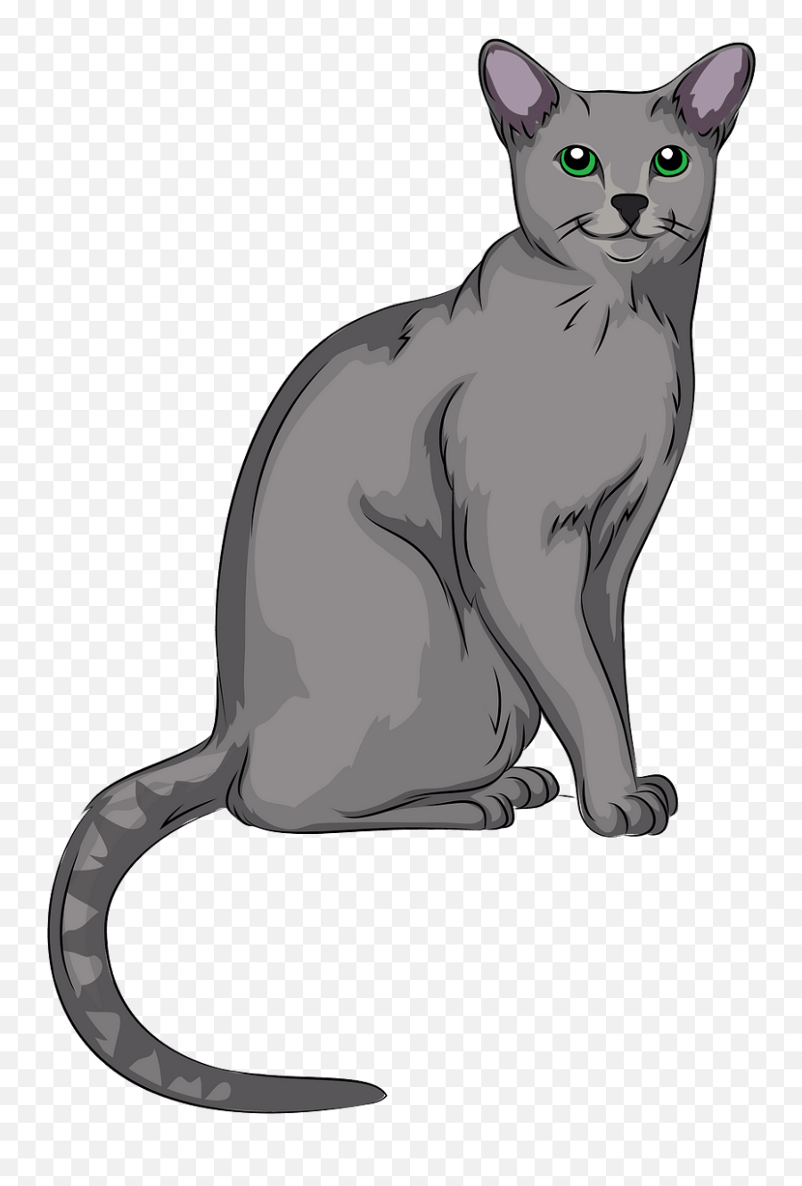 Russian Blue Cat Clipart Free Download Creazilla - Russian Blue Cat Clipart Png,Cat Clipart Transparent