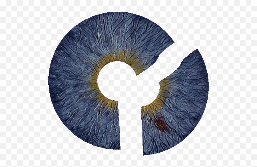 German Startup To Market First Artificial Iris - Cbs News Art Png,Cbs Eye Logo