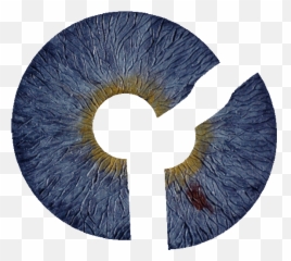 German Startup To Market First Artificial Iris - CBS News Art png