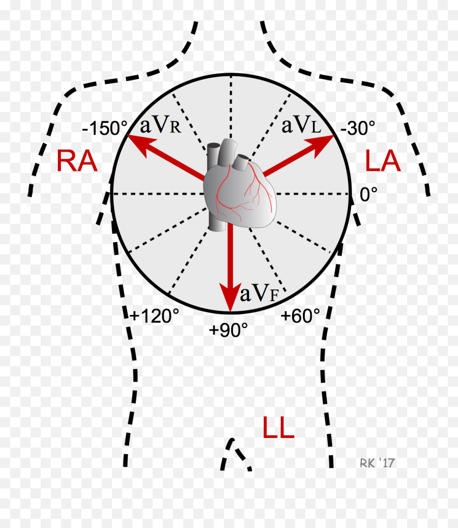 Cv Physiology Electrocardiogram Augmented Limb Leads - Augmented Leads Ecg Png,Ekg Png