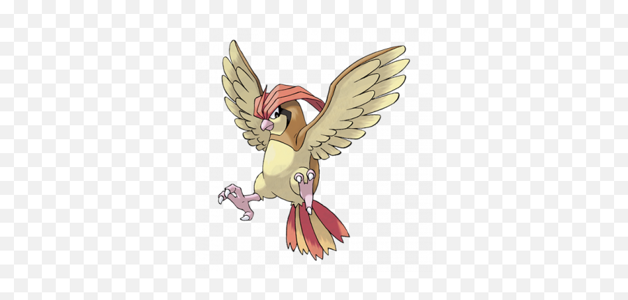 Rattata U2013 Scrapeme - Pokemon Pidgeotto Png,Rattata Png