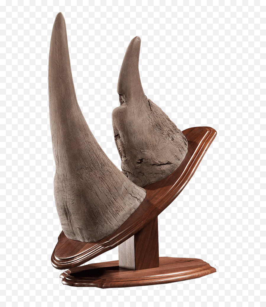 Rhino Horn Mount Dc110 Our Work Kanati Studio - Fin Png,Horn Png