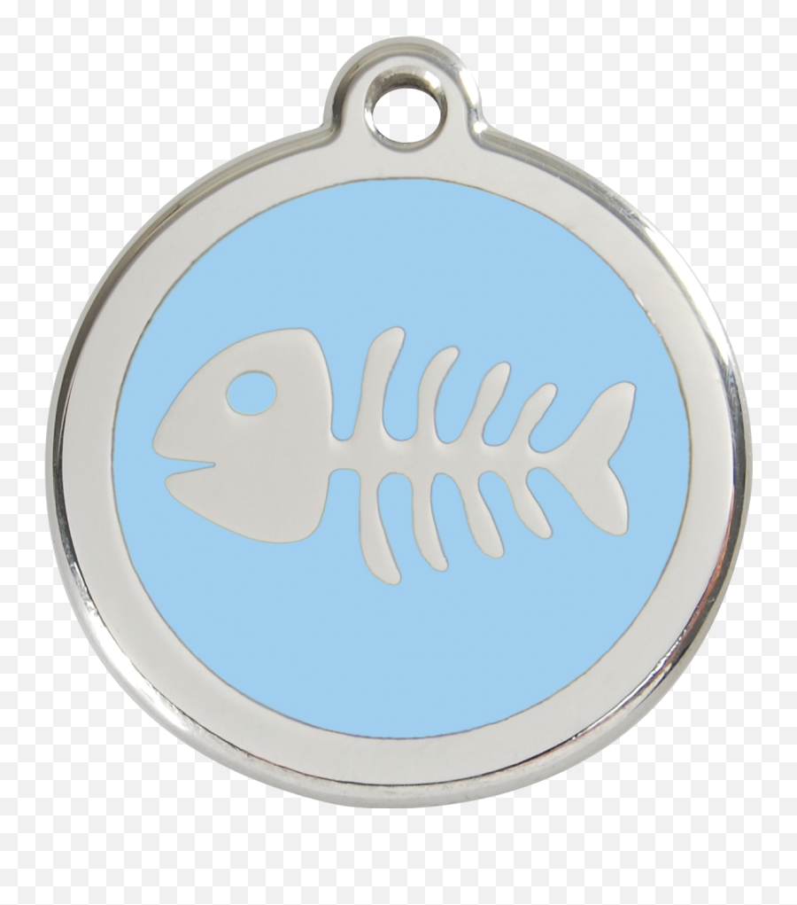 Fish Skeleton - Fishbone Png,Fish Skeleton Png