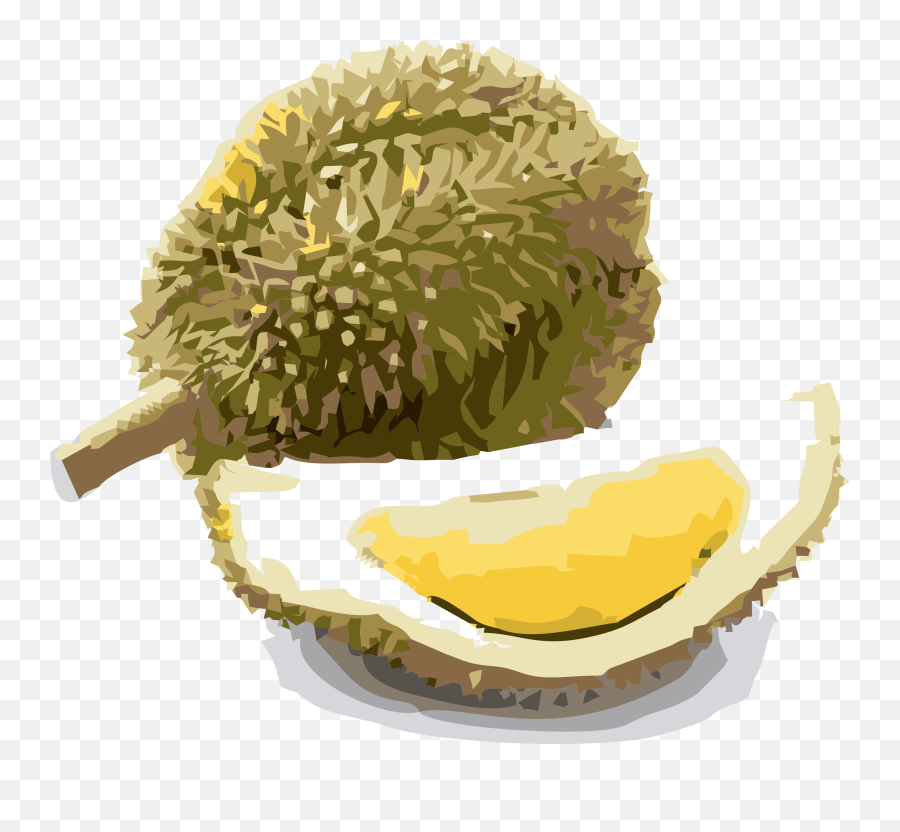 Index Of Png Durian