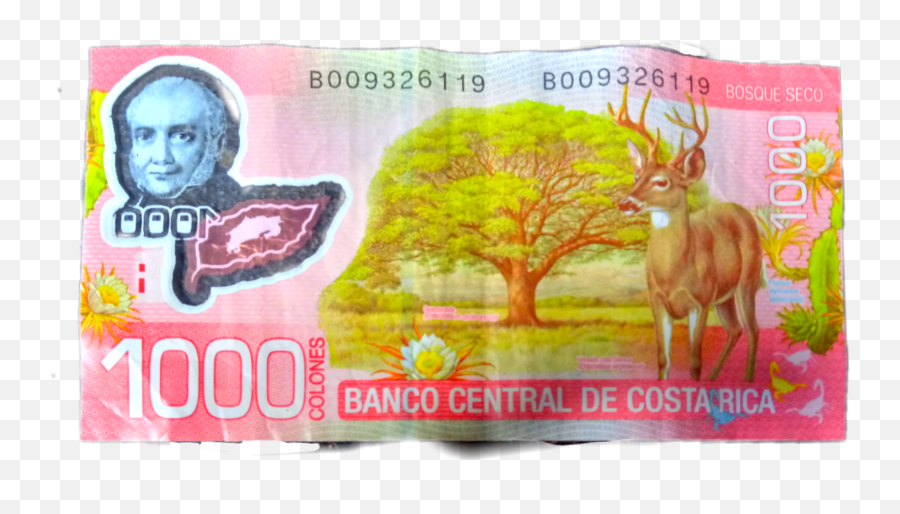 1000 Colones De Costa Rica Rv - La Cronica De Culiacan Png,Rv Png