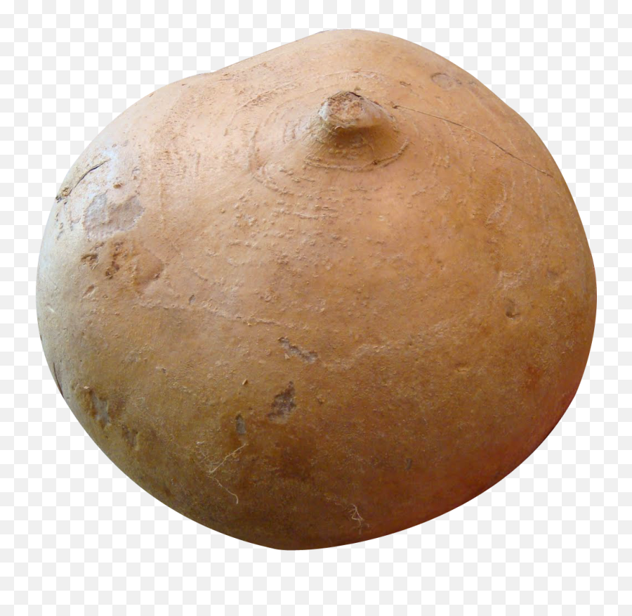 Download Jicama Png Image For Free - Mexican Yam Png,Yam Png