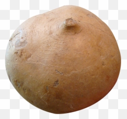 Download Jicama Png Image For Free - Mexican Yam Png,Yam Png
