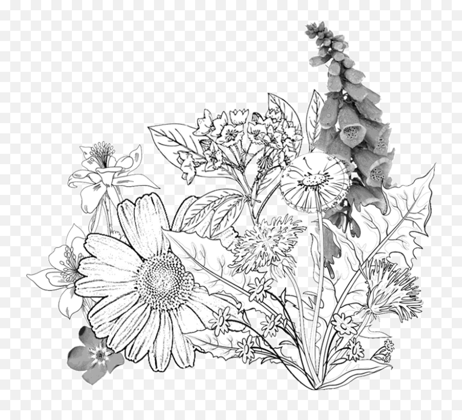 Catskills Custom Papercut Ketubah - Flower Sketch Png,Wildflowers Png