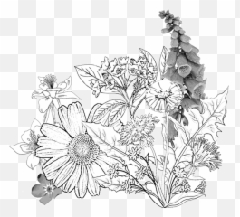 Catskills Custom Papercut Ketubah - Flower Sketch png
