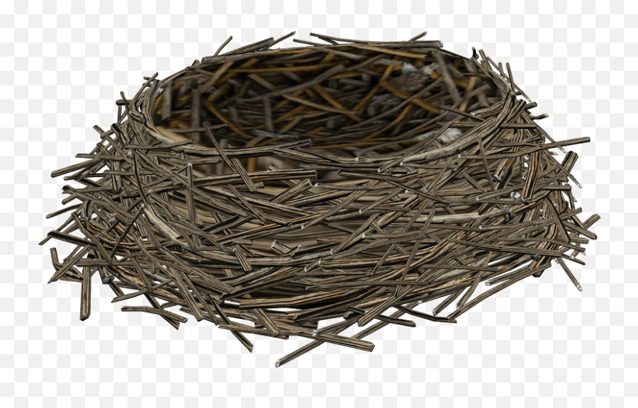 Birds Nest Psd Official Psds - Transparent Birds Nest Png,Nest Png