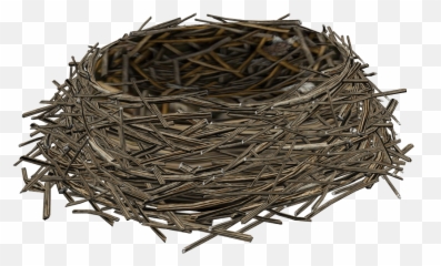 Birds Nest Psd Official Psds - Transparent Birds Nest Png,Nest Png