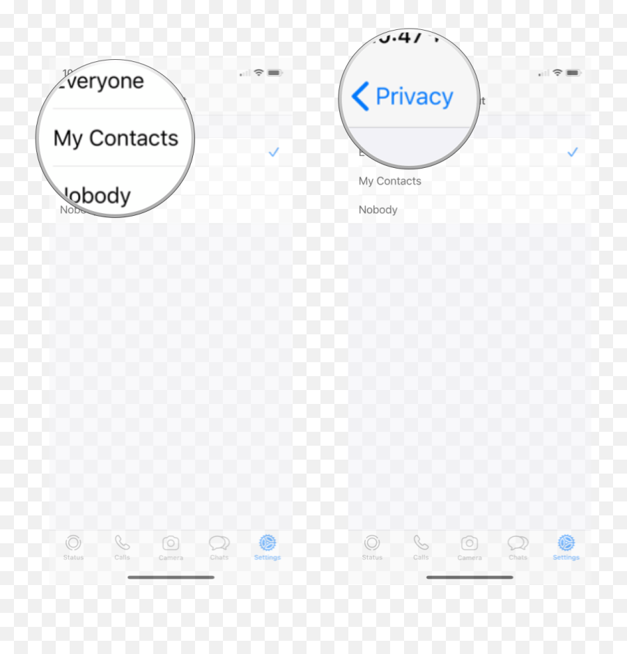 In Whatsapp For Iphone And Ipad - Vertical Png,Where Is My Settings Icon