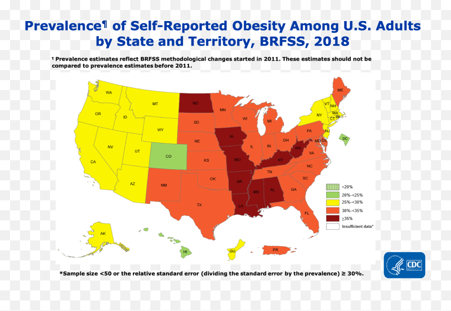 Causes And Solutions - Hottest States In The Us Png,Fast Food Overweight Icon