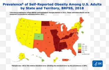 Causes And Solutions - Hottest States In The Us png