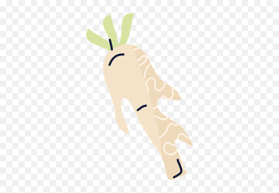 Fresh Ginger Vegetable Isolated Icon - Canva Drawing Png,Ginger Icon