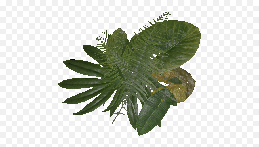 Small Leaf Pile - Official Green Hell Wiki Alocasia Png,Small Leaf Icon