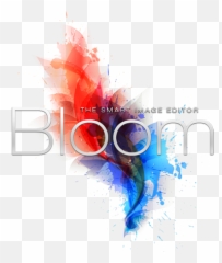 Sad Cat Software Bloom - Onesoftwares Graphic Design Png,Sad Cat Png