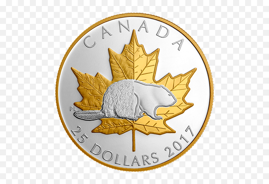 1 Oz Pure Silver Gold Plated Piedfort - Timeless Icons Mintage Maple Leaf Png,Canadian Icon