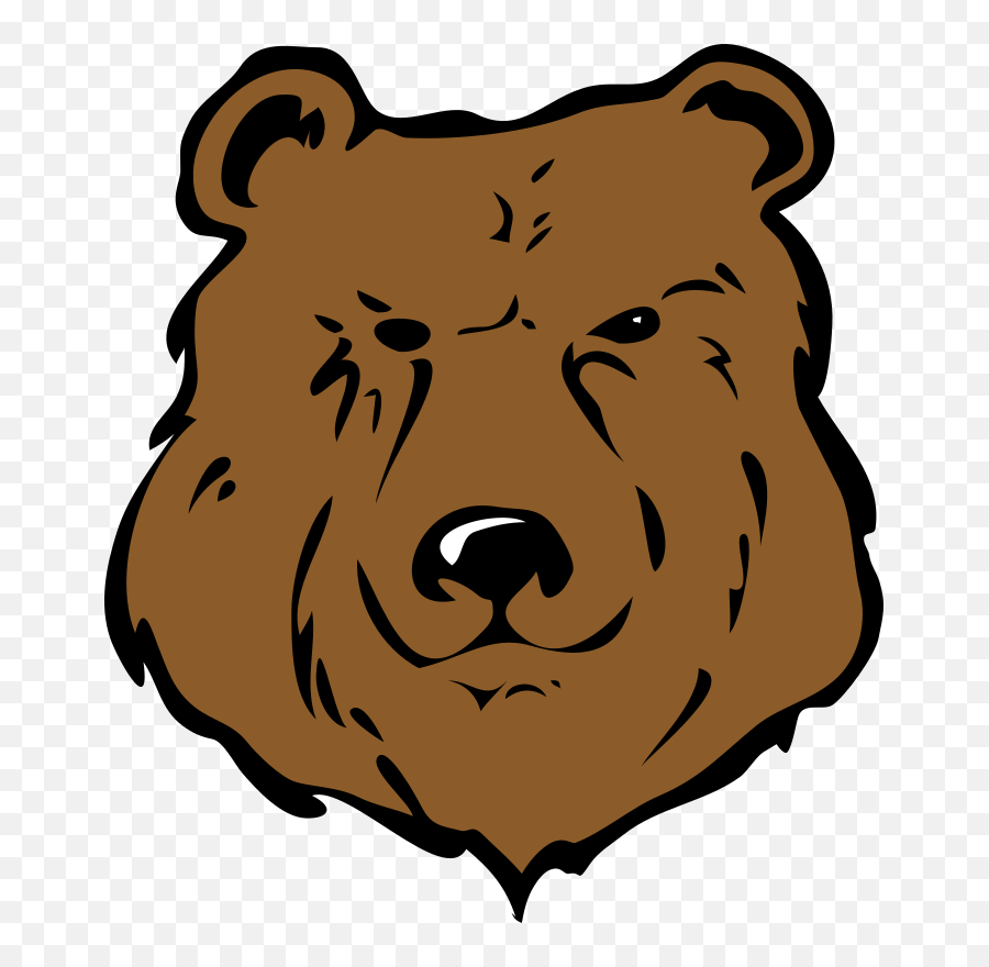Bear Head Brown - Im The Fucking King Png,Bear Head Png