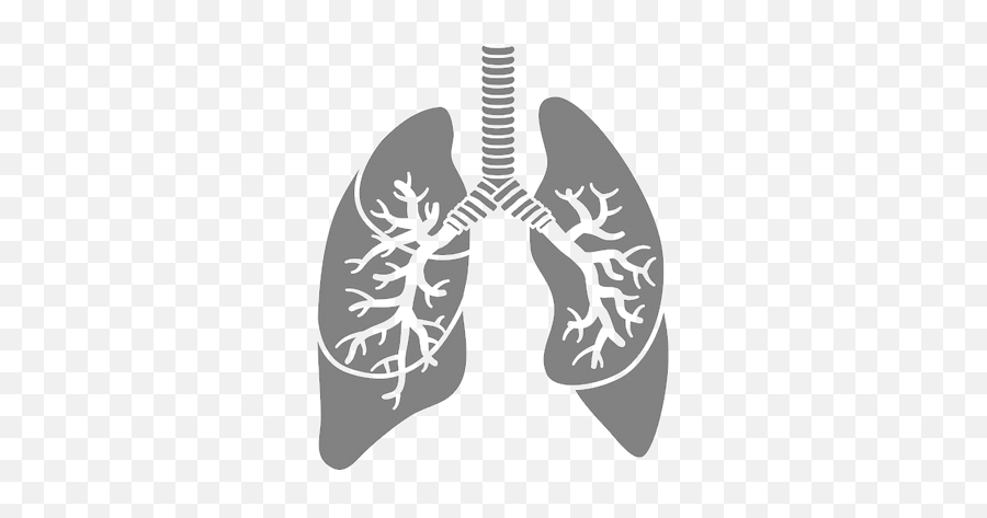 Respiratory Offspring Biosciences - Respiratory Rate Png,Istockphoto Icon