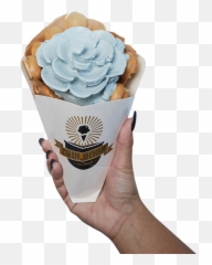 Cauldron Ice Cream Handcrafted Santa Ana - Cauldron Ice Cream San Diego Png,Cauldron Png