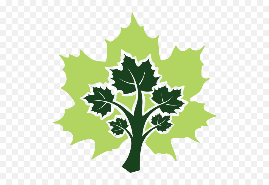 Meet Maple - Maplelogorgbicononly 600 X 600 Microsoft Maple Png,Tree Leaf Icon