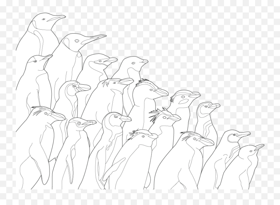 Penguins Of The World Threats And Solutions Pew - Penguins Species List Drawing Png,Wetland Icon Sketch