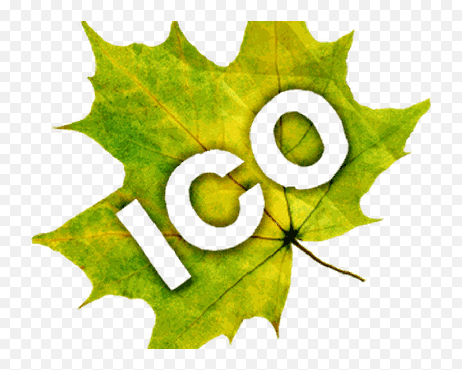 Download Icon Pack Android - Maple Leaf Full Size Png Sugar Maple,Android Icon Pack Png