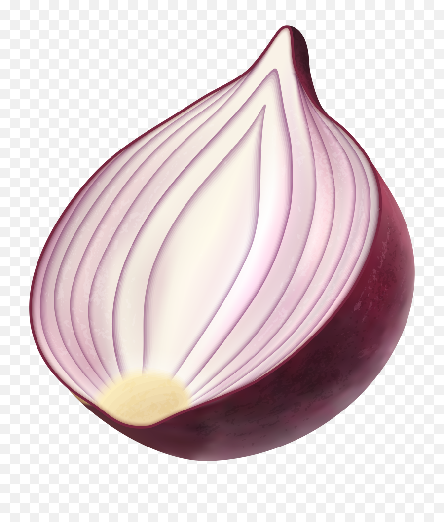 Onion Clipart Png - Red Onion Clip Art,Onion Png