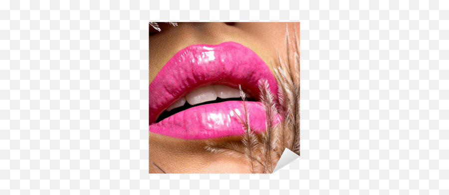 Closeup Beautiful Female Lips With Pink Lipstick Sticker U2022 Pixers - We Live To Change Lip Gloss Png,Pink Lips Png