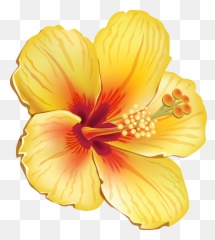 Tropical Png And Vectors For Free - Hawaiian Flowers