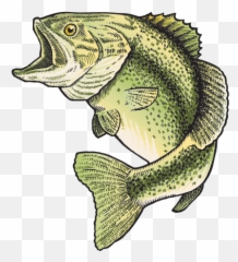 Download Printed Vinyl Bass Fish Png Royalty Free - Clip Art,Bass Fish Png