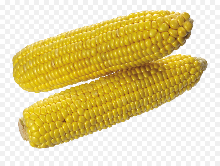 Corn Png Image - Corn Transparent Background,Corn Transparent