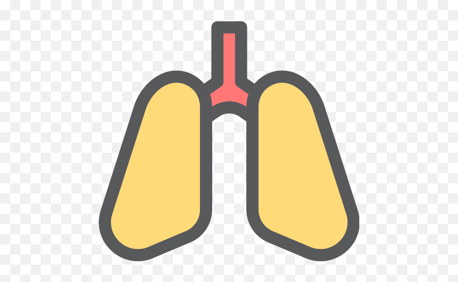 Lungs Png Icon - Lung Png Organ,Lungs Png