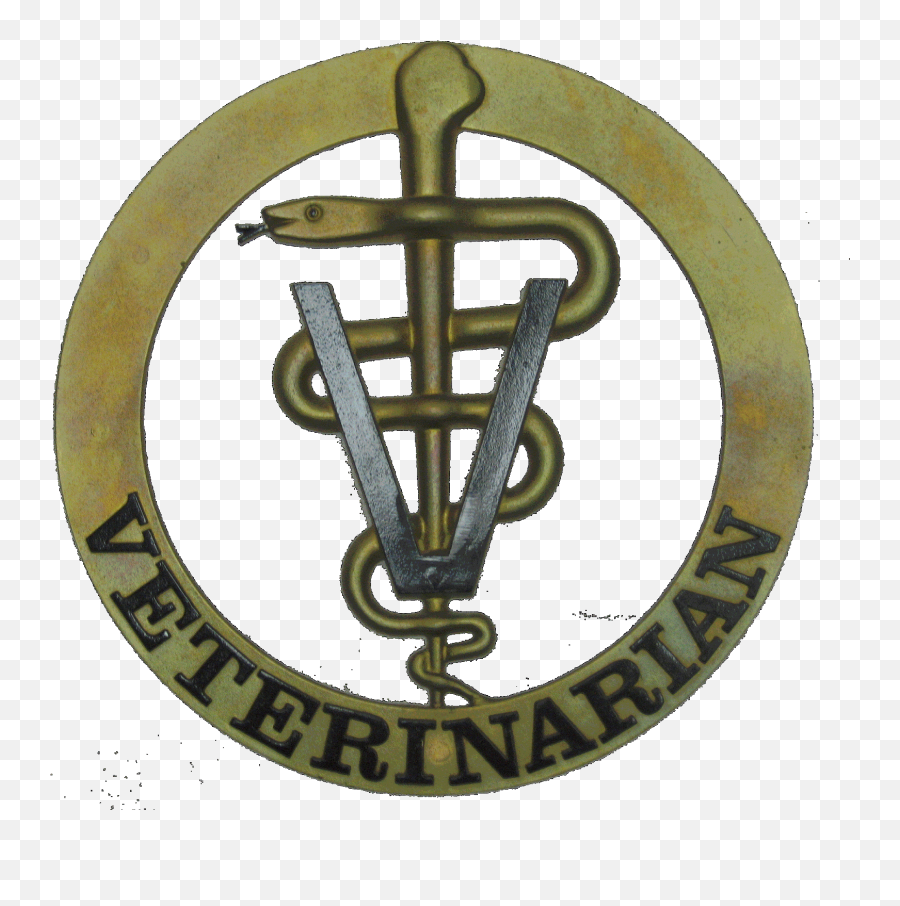 Veterinarian Symbol 1156419 Som300 Info Veterinary - Veterinary Doctor Veterinarian Logo Png,Veterinary Logo