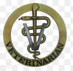 Veterinarian Symbol 1156419 Som300 Info Veterinary - Doctor Veterinarian Logo png