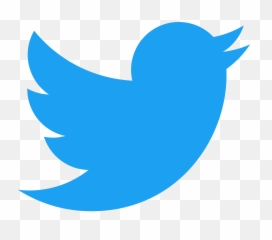 60 White Twitter Logo New For Free Download Transparent PNG