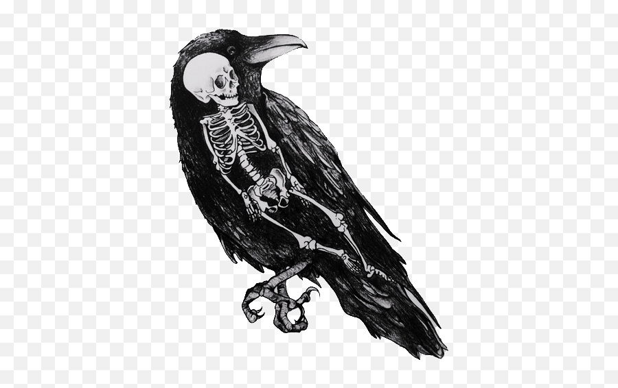 Raven Clipart Tumblr Transparent - Crow Black And White Drawing Png,Raven Transparent