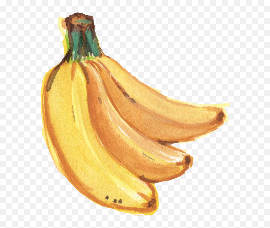 Banana Png Transparent Images - Banana Paint Png Banana Watercolor Png,Bannana Png