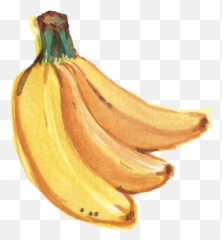 Banana Png Transparent Images - Paint Watercolor
