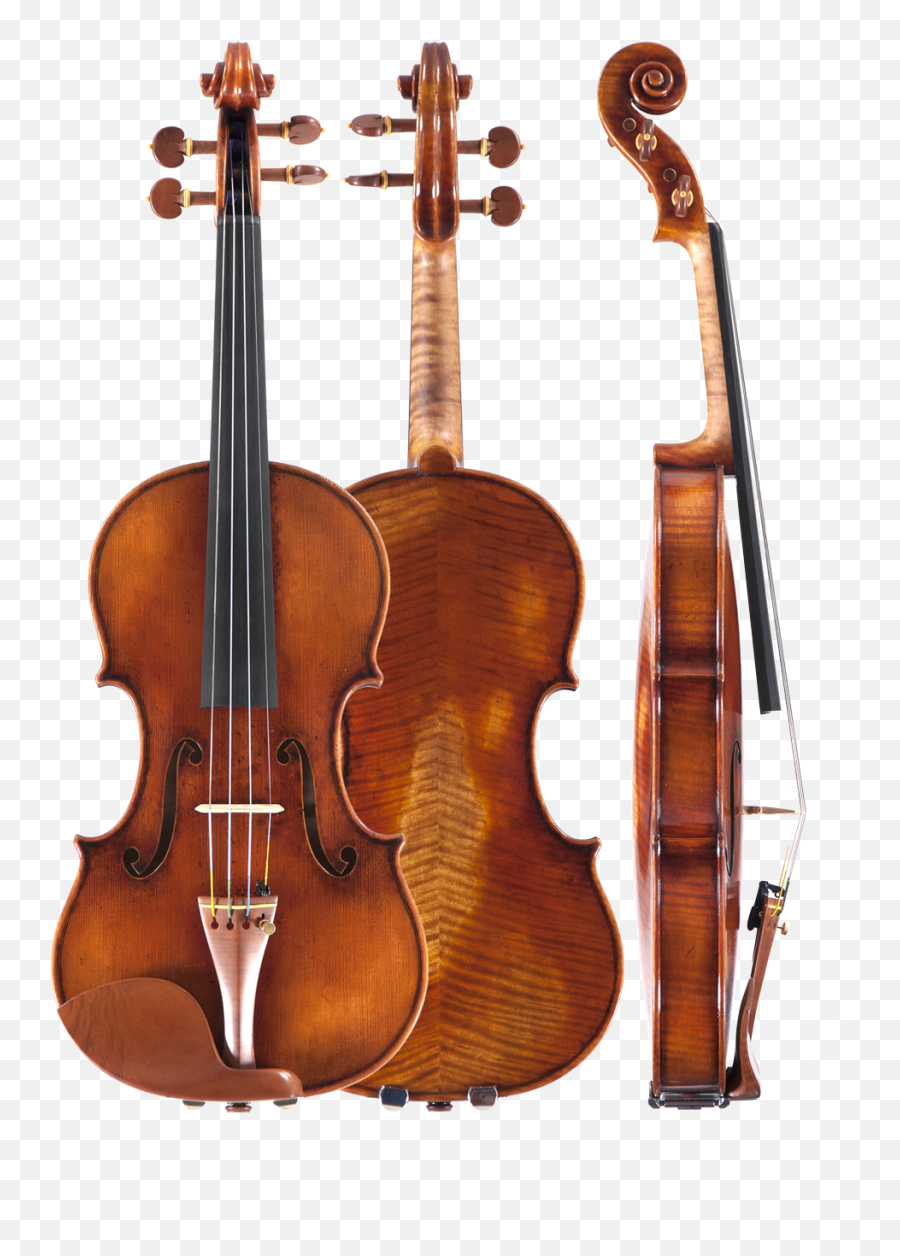 Download Ming Jiang Zhu Aa Viola - Amati Violin Full Size Dvorak Violin Png,Viola Png