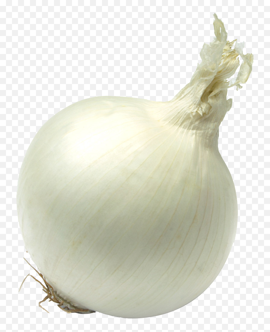 Single Onion Png Free Download - Single Vegetables Images Hd,Onion Transparent
