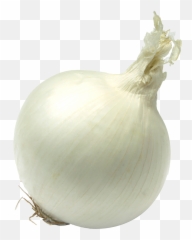 Single Onion Png Free Download - Single Vegetables Images Hd,Onion Transparent
