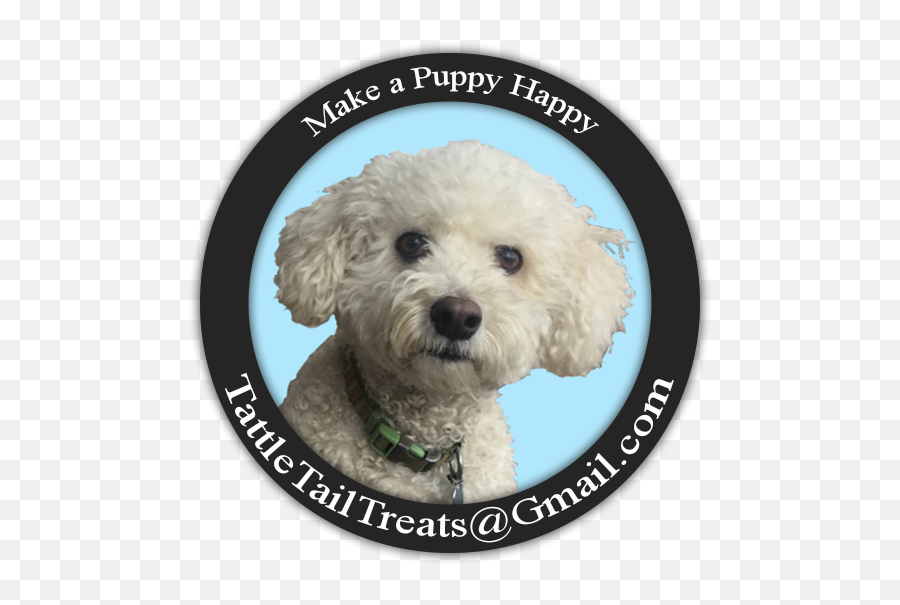 Toy Poodle Png Image - Poodle Crossbreed,Poodle Png