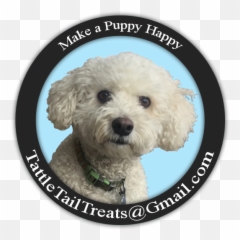 Toy Poodle Png Image - Poodle Crossbreed,Poodle Png