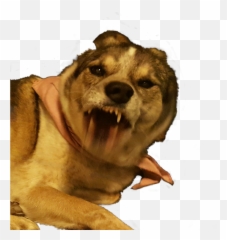 Freetoedit Dog Maddog Snarl Angry Funny Funnyanimals - Mad Dog Png,Mad Dog Png